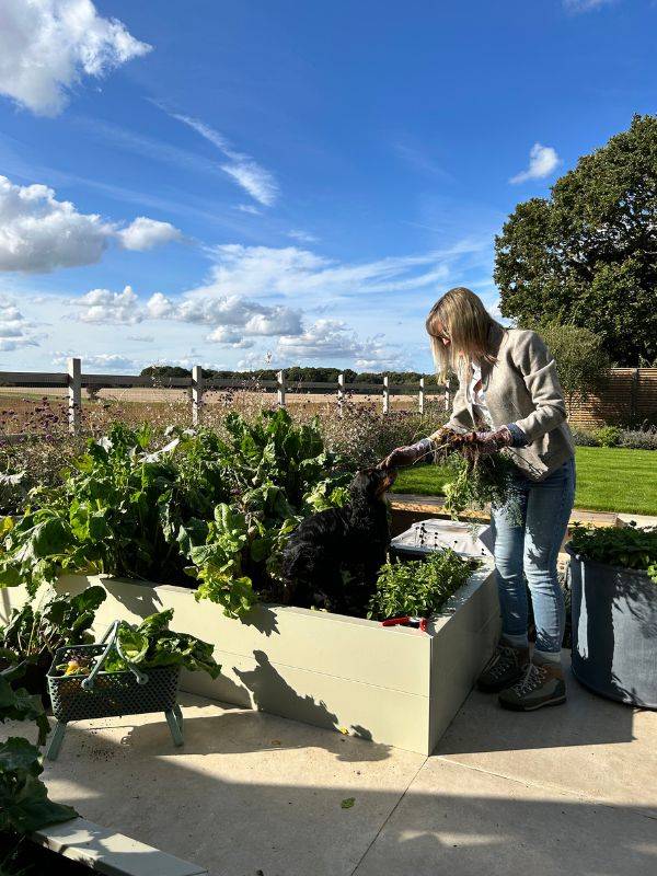 Stephanies Kitchen Garden Oct 2025 2